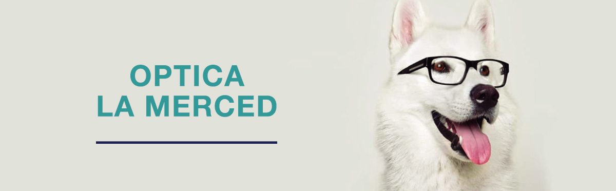 Ópticas en Guadalajara